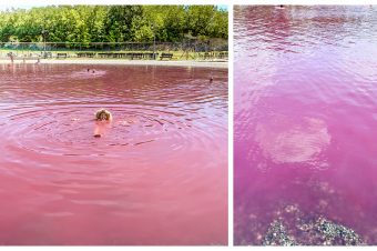Doživite jedinstveno iskustvo kupajući se u lekovitom roze jezeru Pačir