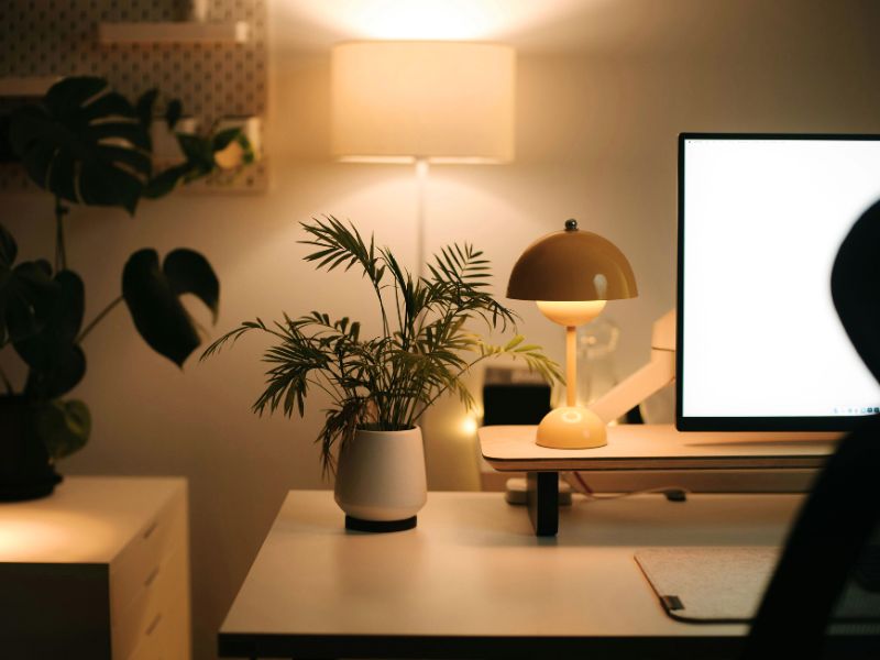 Uređenje kućne kancelarije kombinacijom biljke i lampe